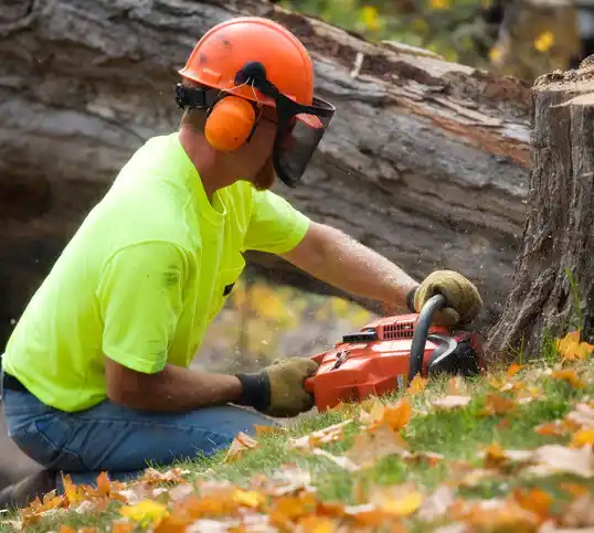 tree services Hattiesburg